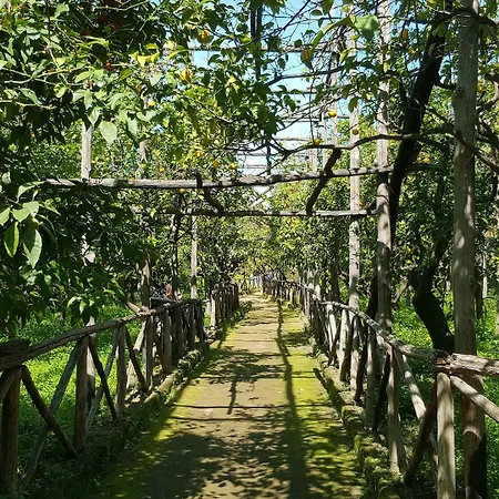 Lemon לינה וארוחת בוקר 3*