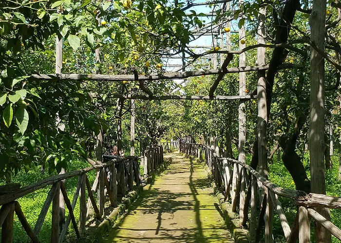 Lemon Bed and Breakfast 3*